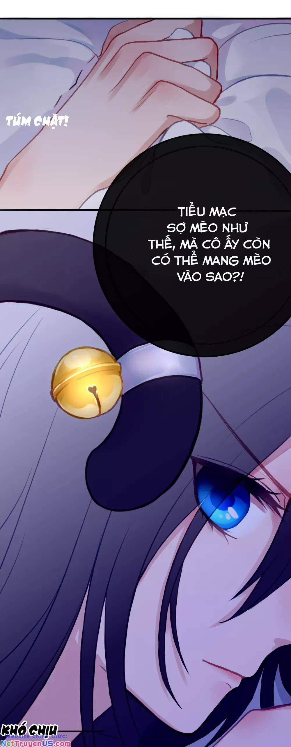 Quy Luật Tình Yêu 5 trang 3