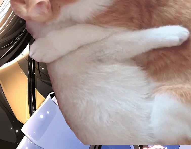 Quý Phi Chuyên Sủng Là Nam Nhân 52 trang 48