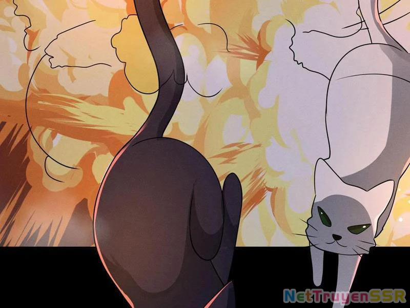 Quy Tắc Chuyện Lạ: Bắt Đầu Hóa Thân Đánh Lui Chiến Thần 204 trang 40