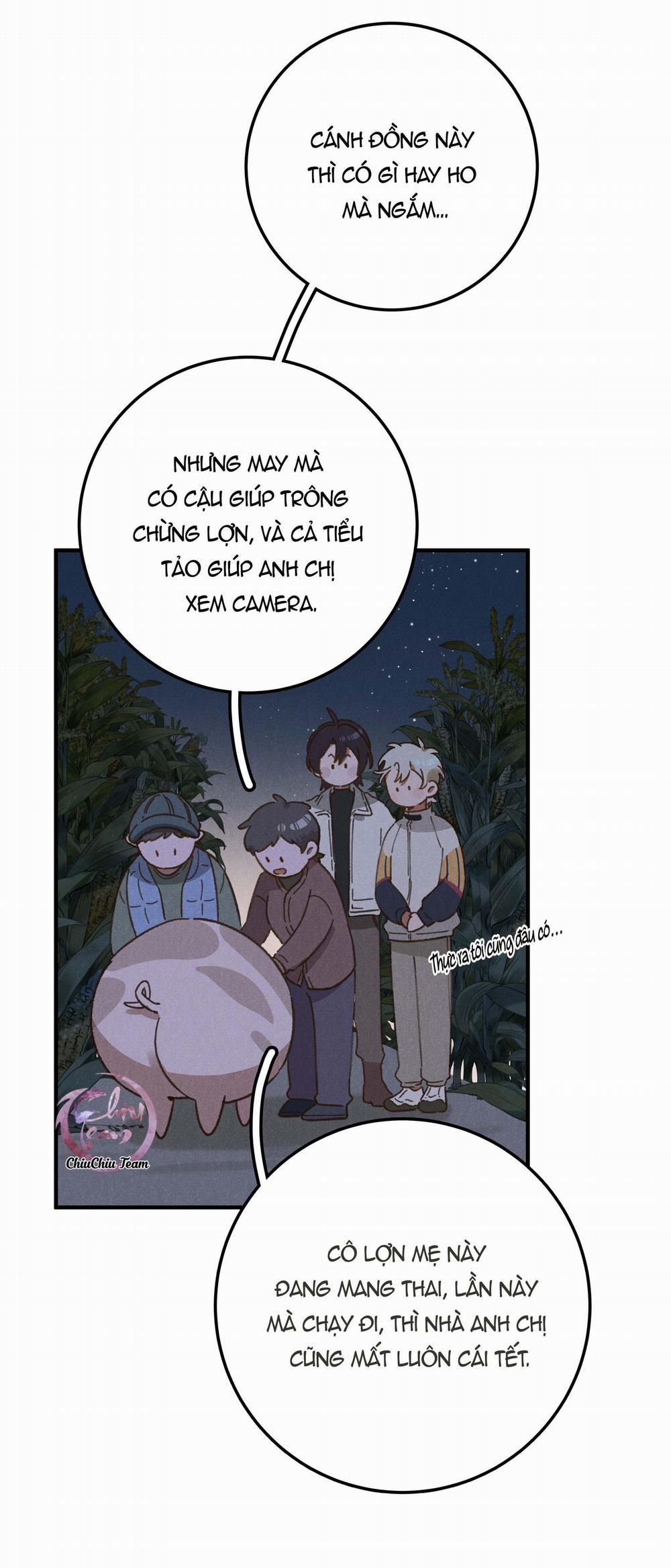 Ra Ruộng Ngô Với Anh Á, Còn Lâu! 5 trang 6