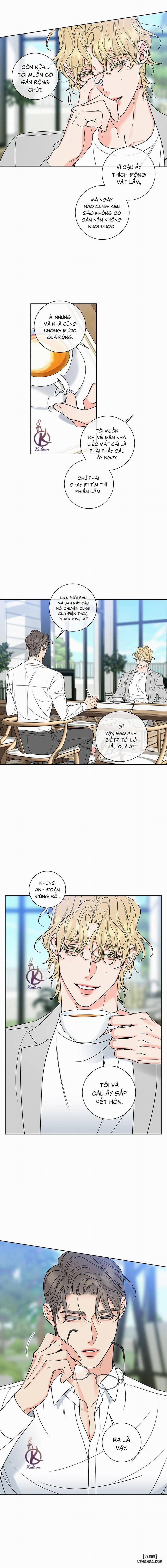 Rắc rối ngọt ngào - Honey trouble 13 trang 8