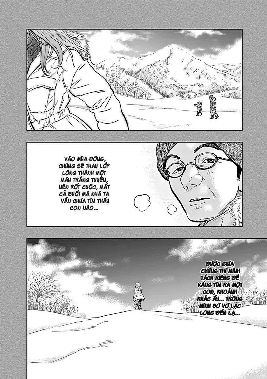 Radiation House 14 trang 6