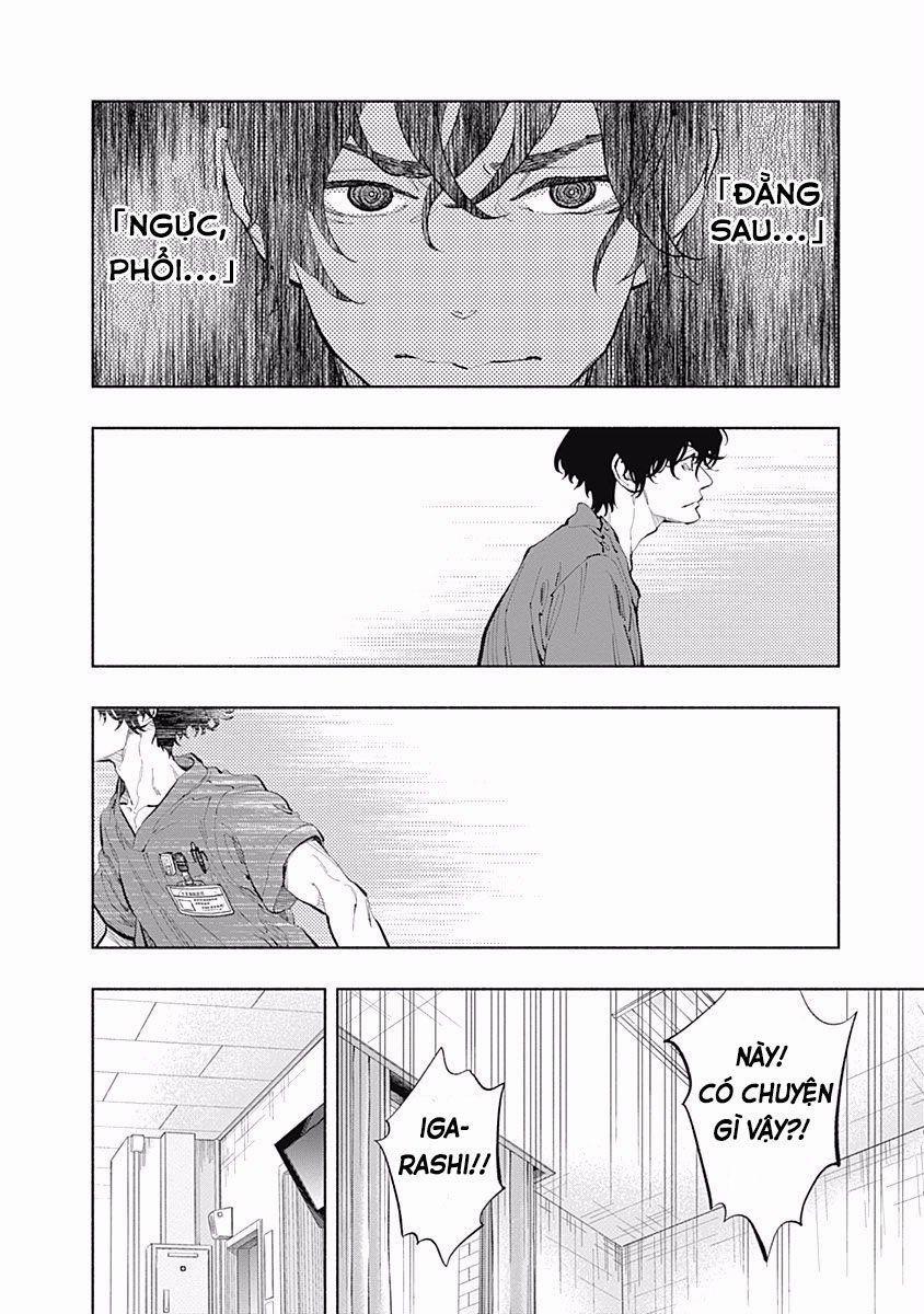 Radiation House 27 trang 14