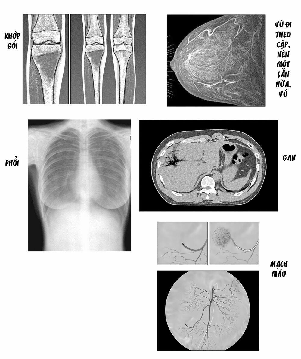 Radiation House 50 trang 23