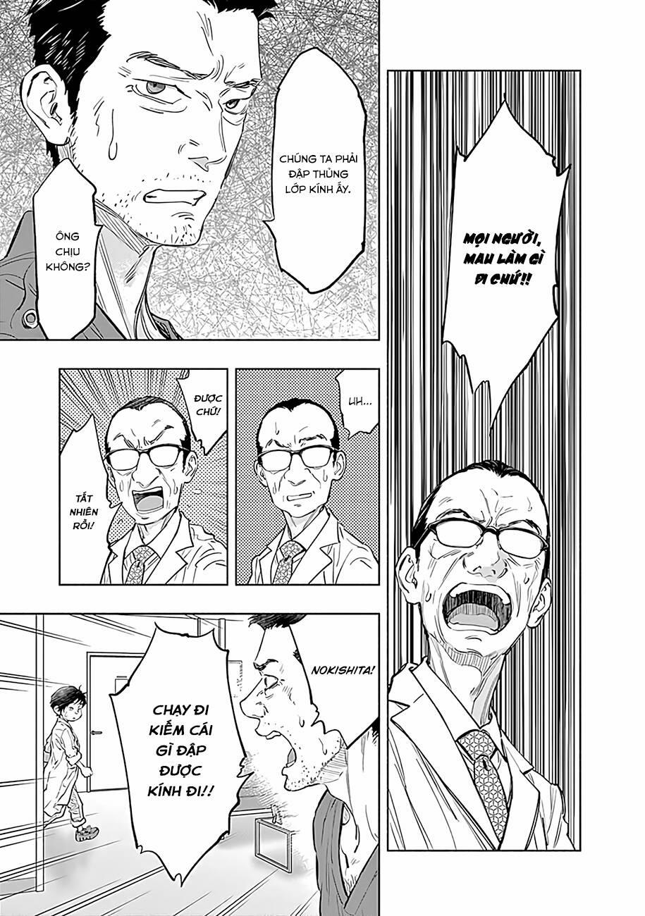 Radiation House 56 trang 5