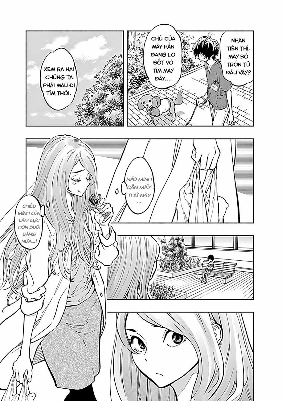 Radiation House 7 trang 11