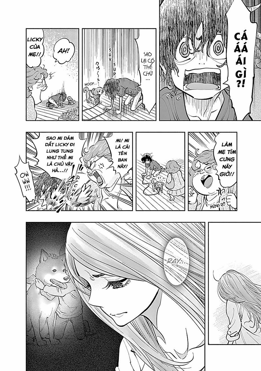 Radiation House 7 trang 20