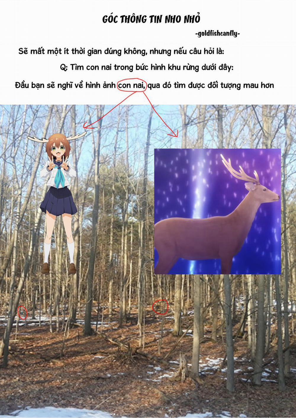 Radiation House 95 trang 25