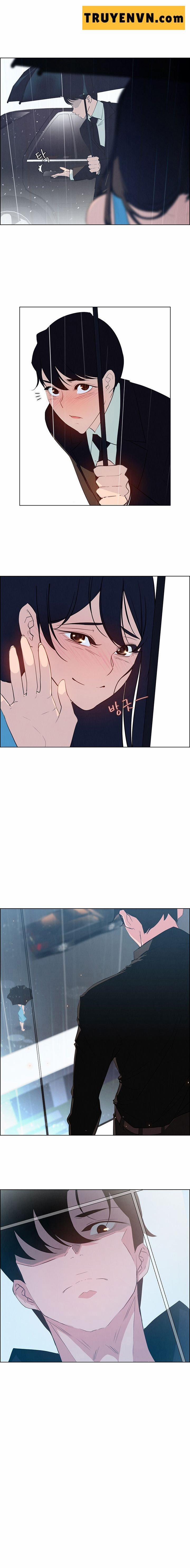 Rain Curtain 25 trang 3