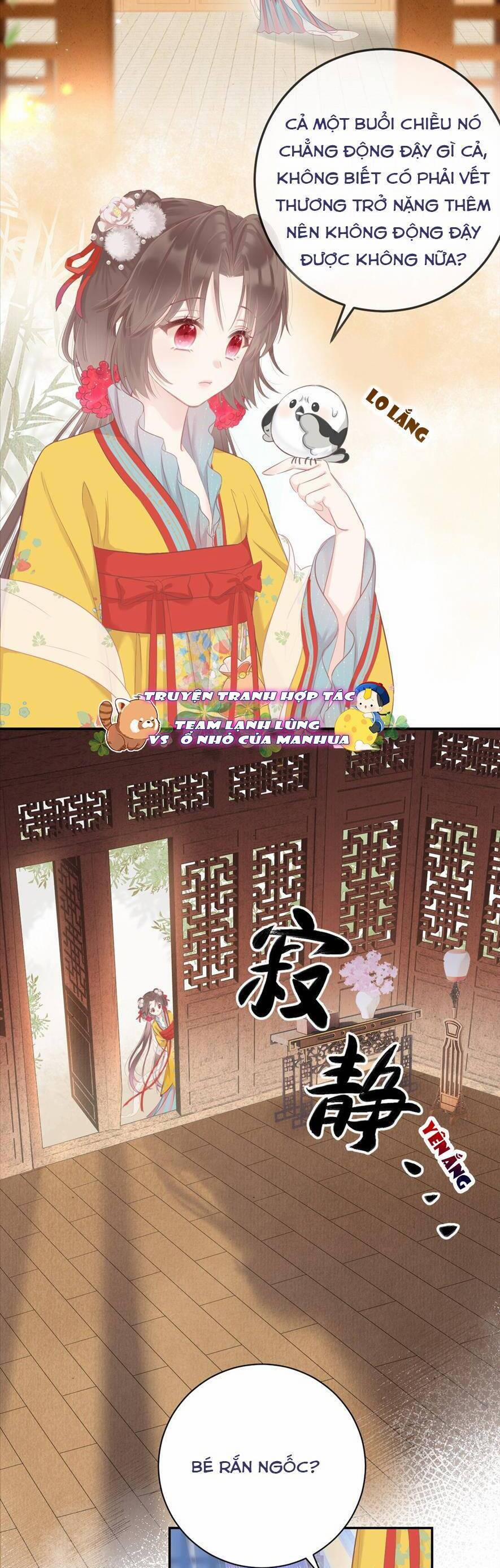 Rắn Cưng Nhà Tôi Lại Đang Diễn Trò Với Tôi 3 trang 13