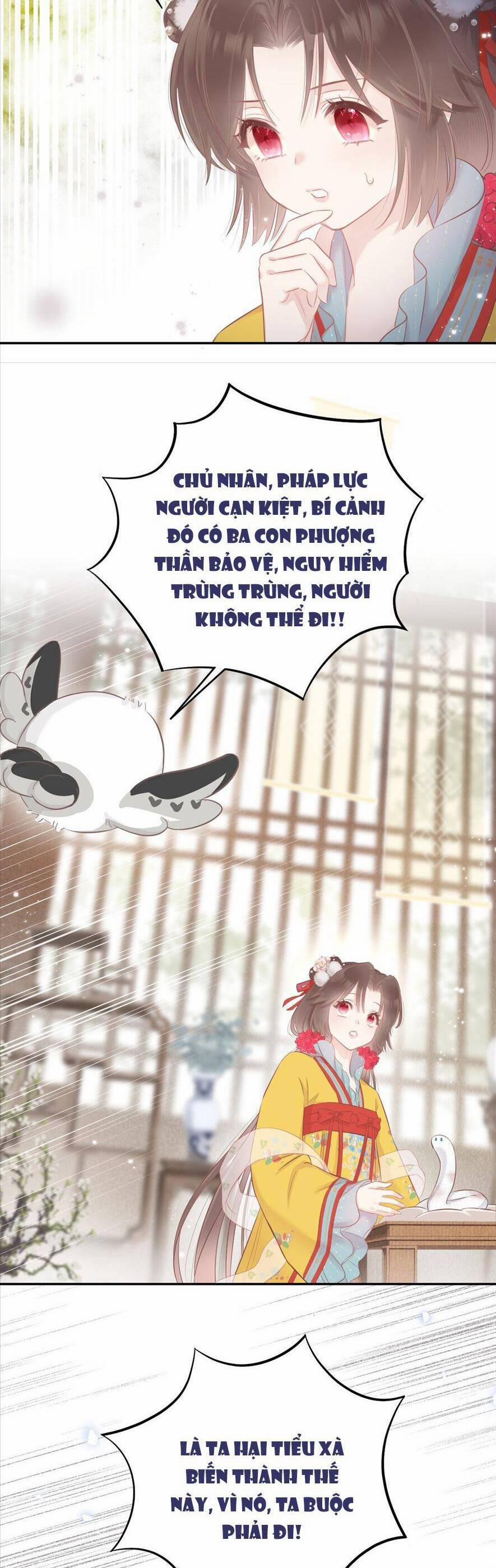 Rắn Cưng Nhà Tôi Lại Đang Diễn Trò Với Tôi 4 trang 14