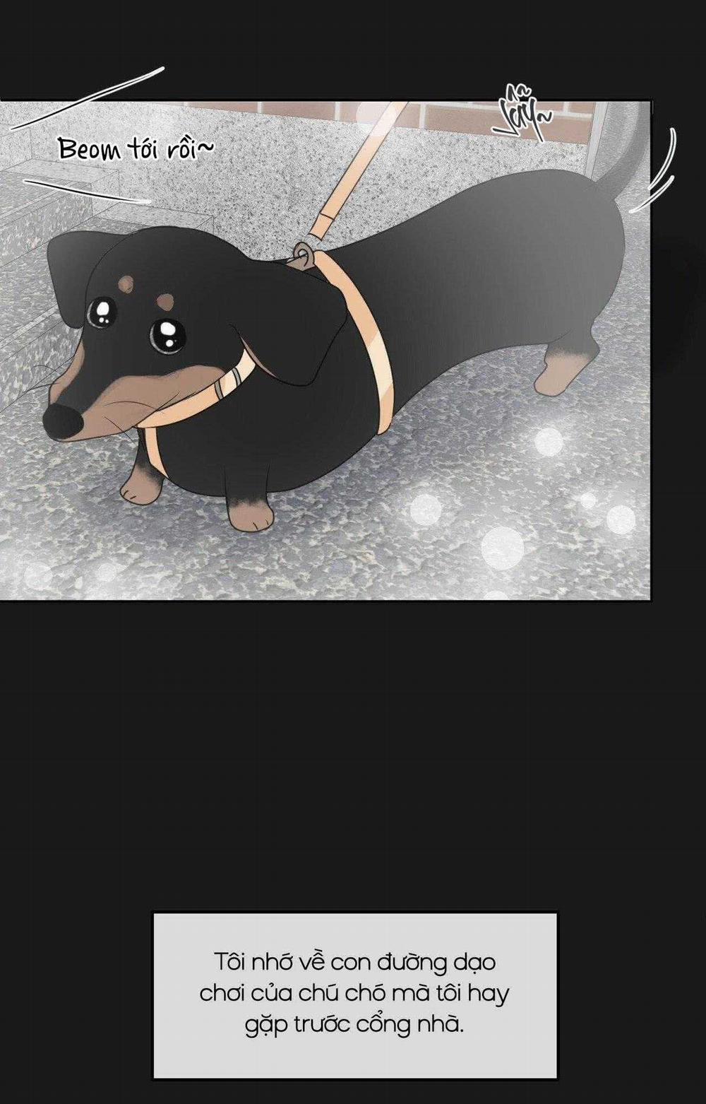 Ranh Giới Của Mùi Hương 43 trang 14