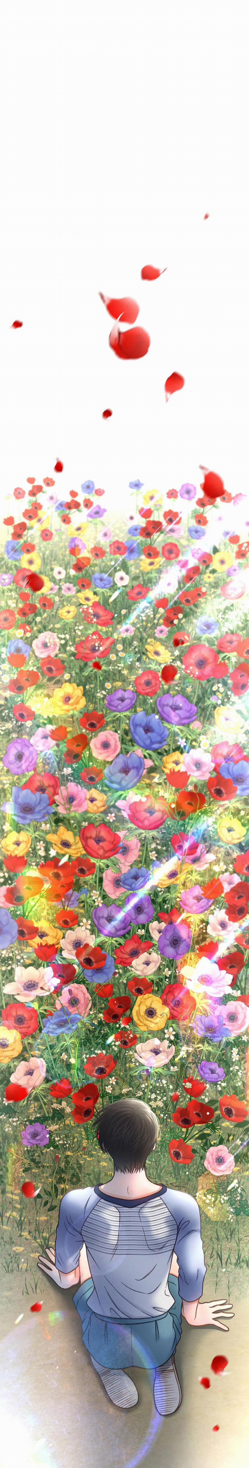 Rạp Chiếu Phim Anemone 49 trang 35