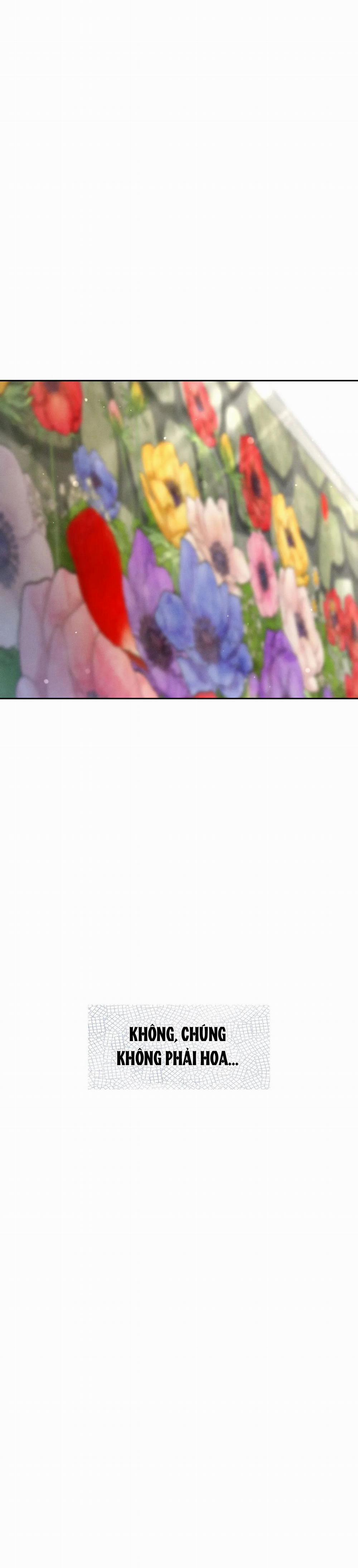 Rạp Chiếu Phim Anemone 49 trang 38