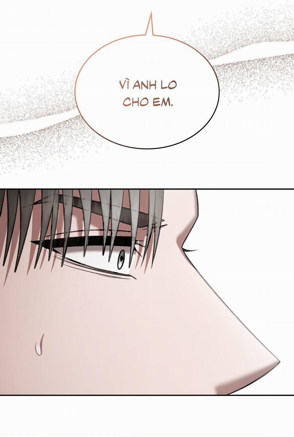 Raw 31 trang 5