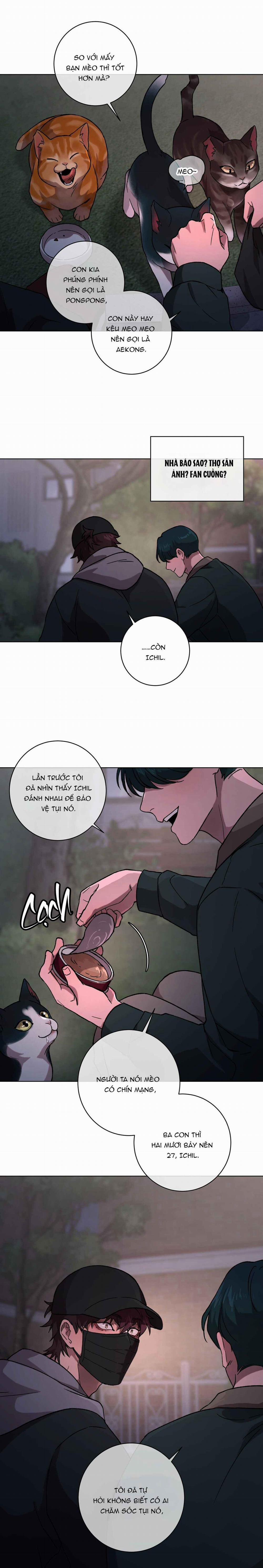 Release Your Persona 1 trang 2