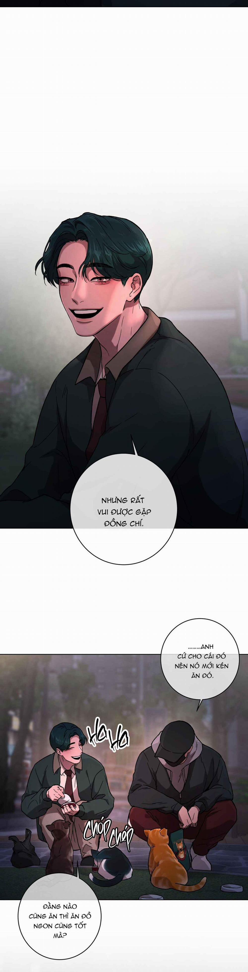 Release Your Persona 1 trang 3