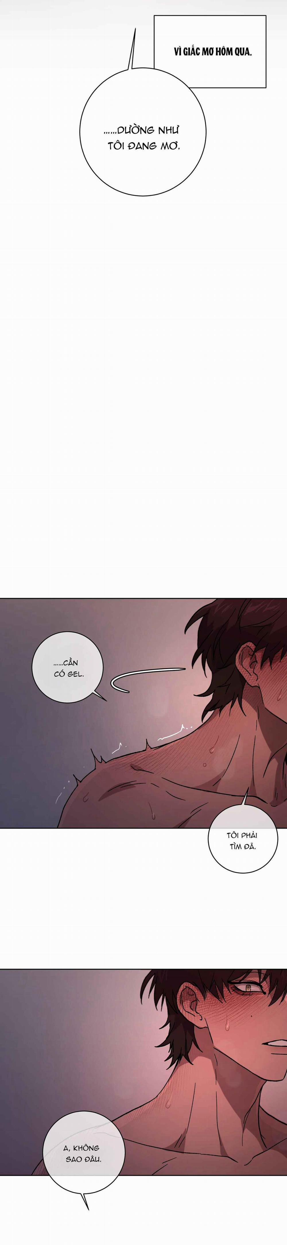 Release Your Persona 3 trang 6