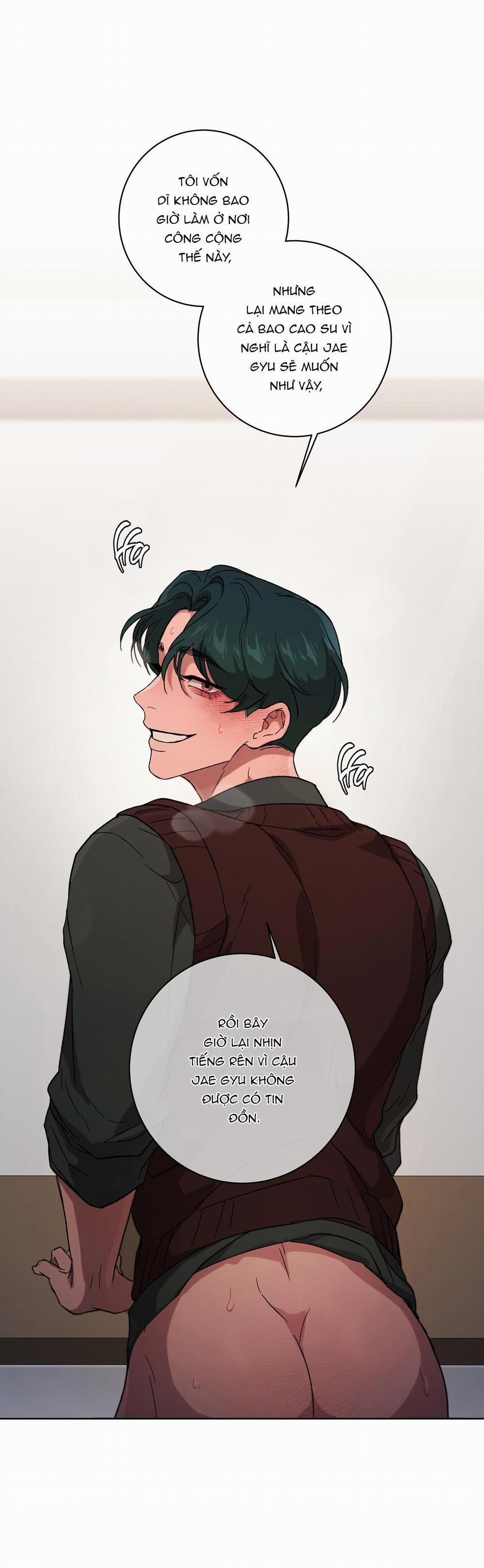 Release Your Persona 5 trang 16