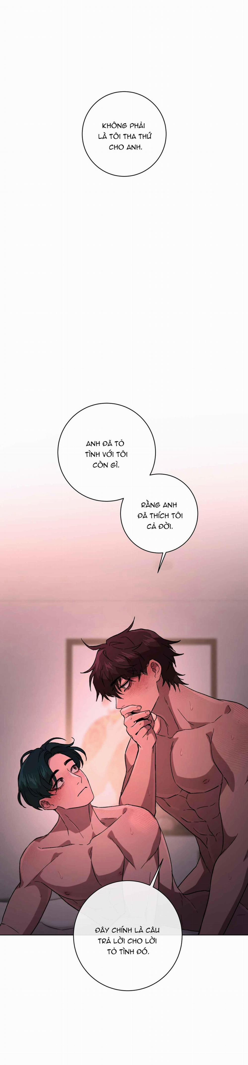 Release Your Persona 8 trang 17