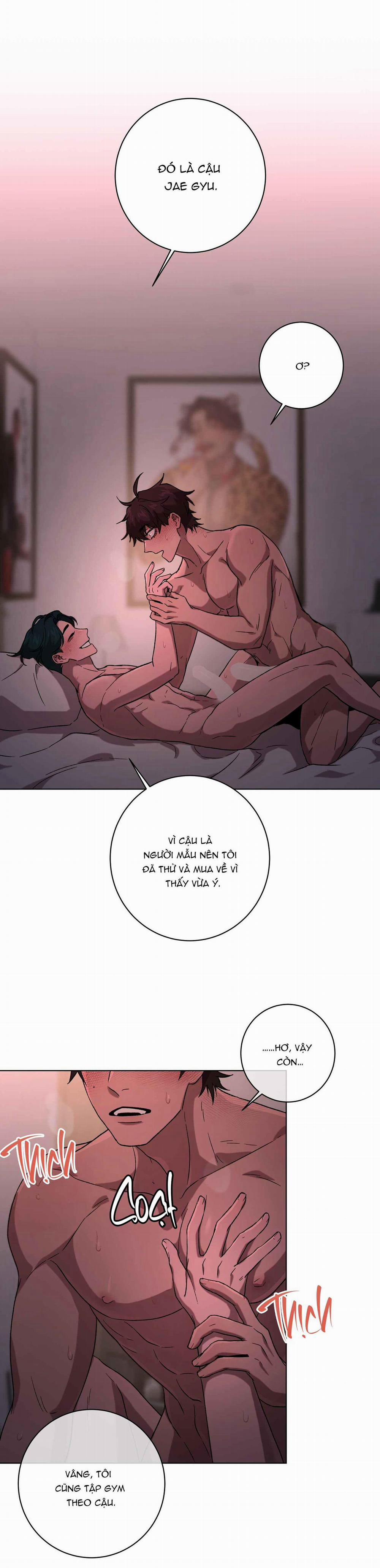 Release Your Persona 8 trang 5