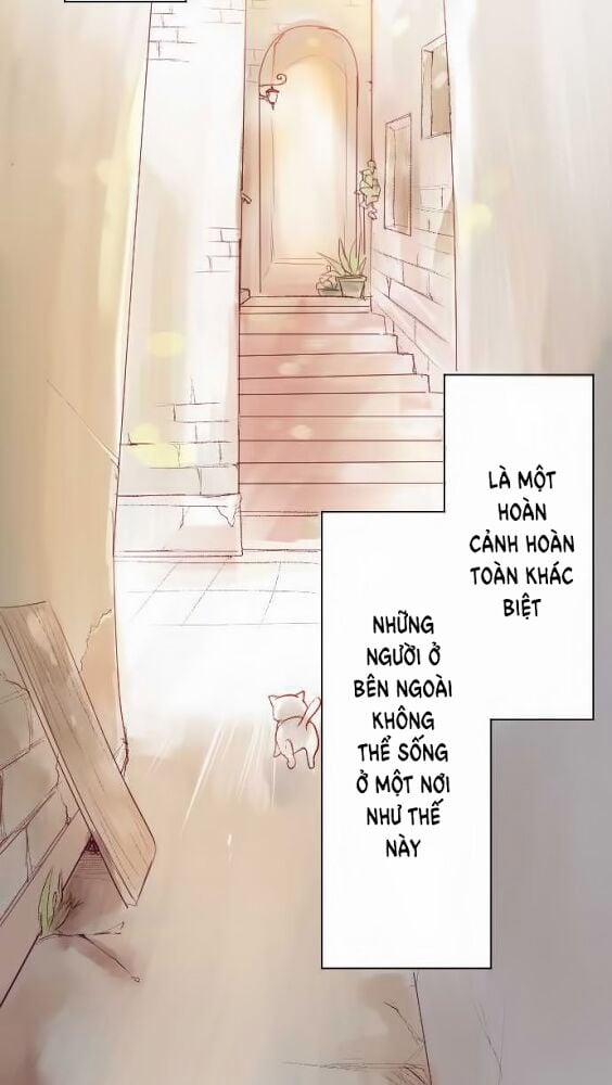 Rodiura Kurashi – Official 1 trang 11