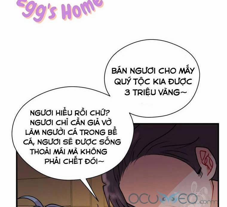 Roelyn Tiến Bước Đến Tương Lai 13 trang 46