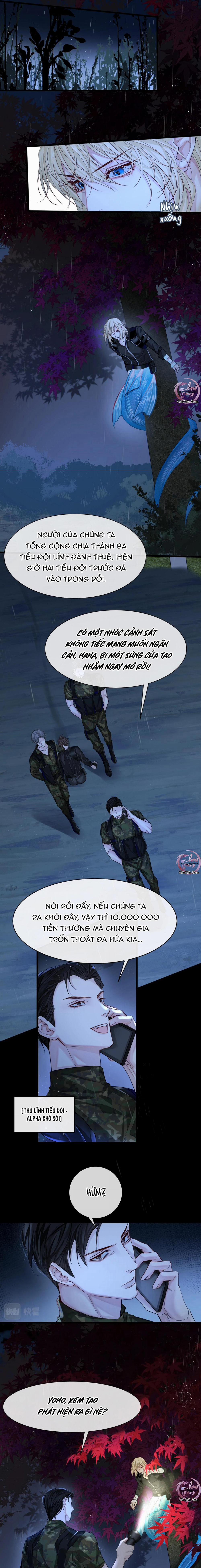 Rơi Vào Bẫy Nhân Ngư 29 trang 1