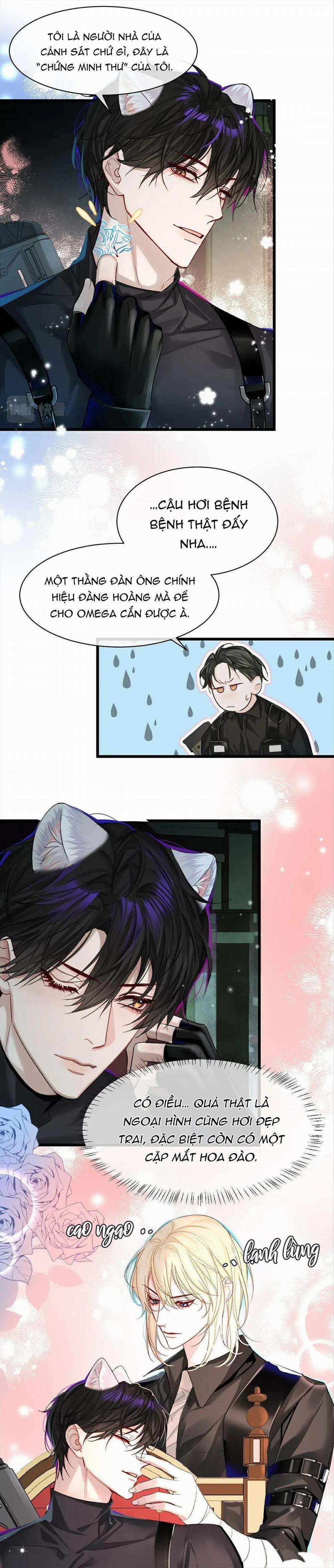 Rơi Vào Bẫy Nhân Ngư 31 trang 5