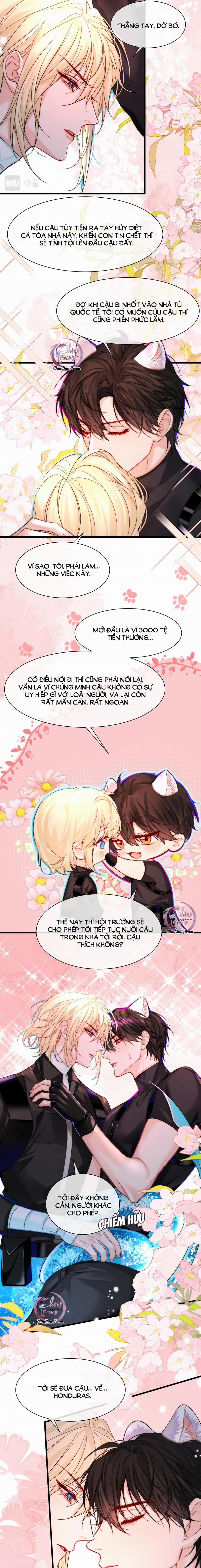 Rơi Vào Bẫy Nhân Ngư 32 trang 5