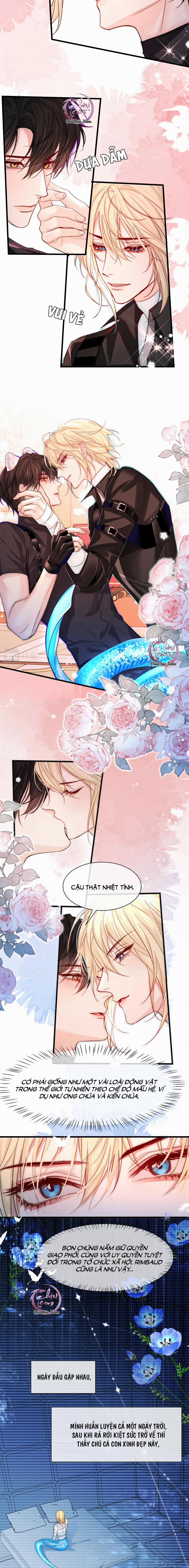 Rơi Vào Bẫy Nhân Ngư 32 trang 6