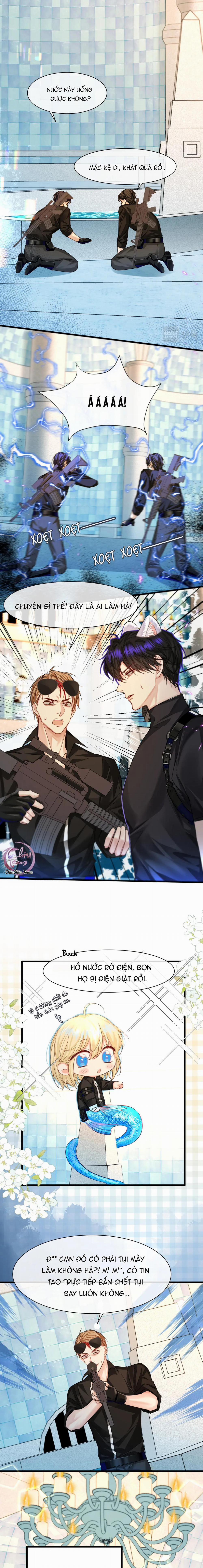 Rơi Vào Bẫy Nhân Ngư 33 trang 6