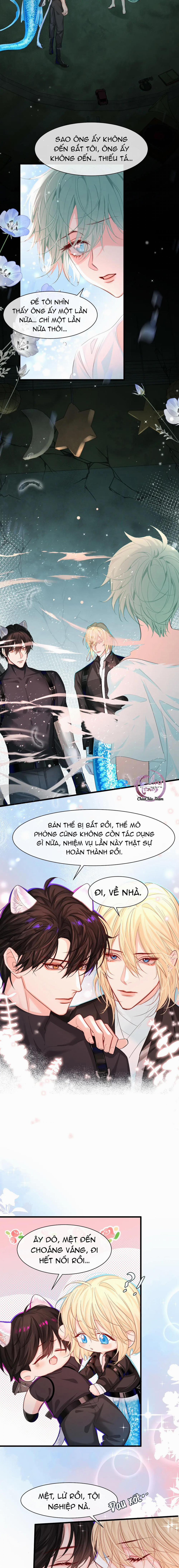 Rơi Vào Bẫy Nhân Ngư 37 trang 8