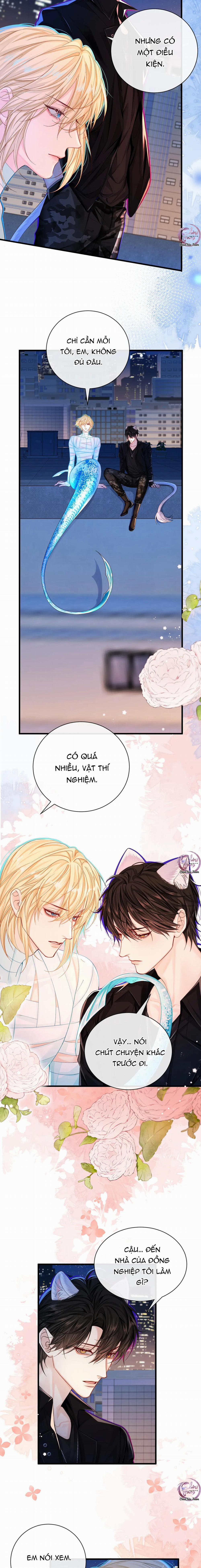 Rơi Vào Bẫy Nhân Ngư 43 trang 7