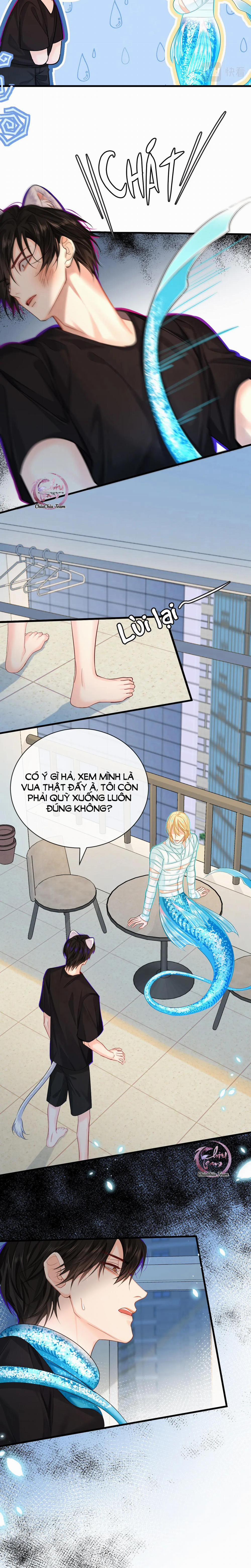 Rơi Vào Bẫy Nhân Ngư 44 trang 12