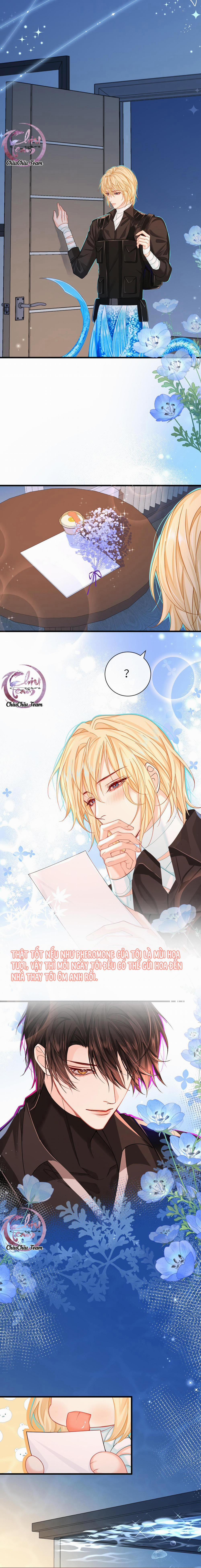 Rơi Vào Bẫy Nhân Ngư 47 trang 10