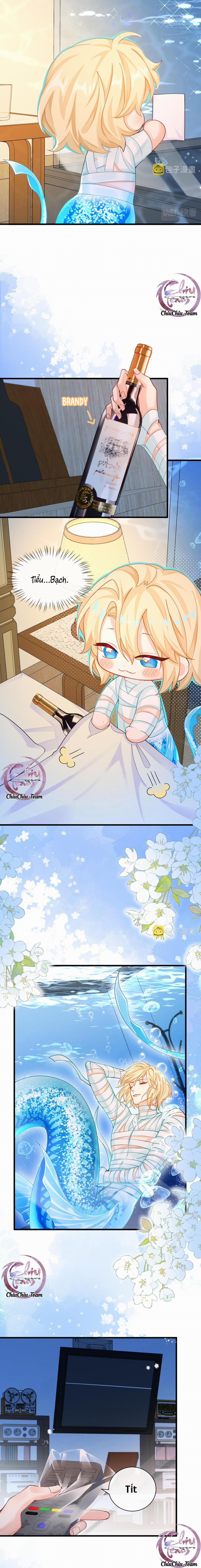 Rơi Vào Bẫy Nhân Ngư 47 trang 11