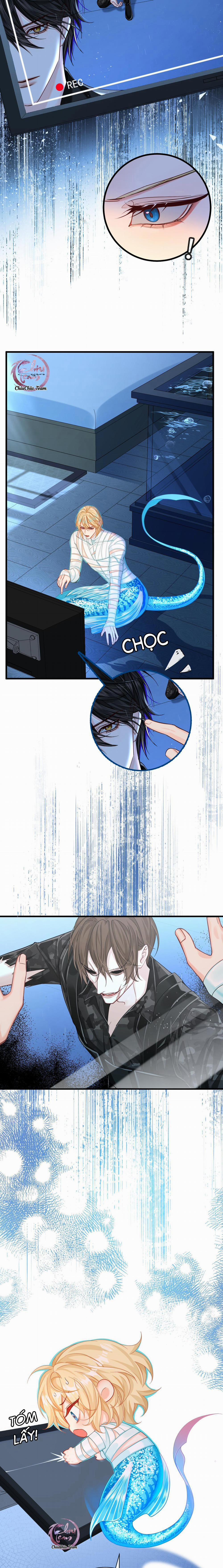 Rơi Vào Bẫy Nhân Ngư 49 trang 12
