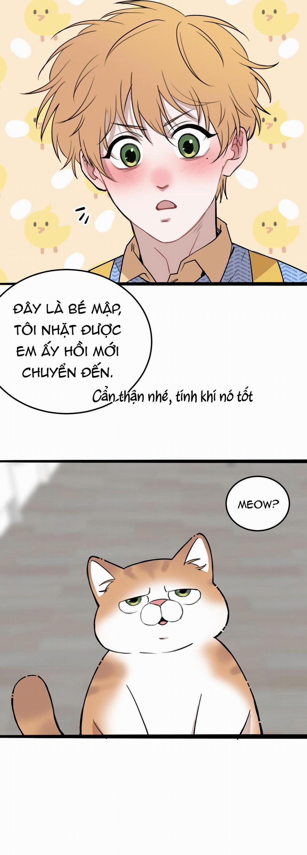 Rốt Cuộc Mèo Con Đang Nghĩ Gì Thế? 11 trang 5
