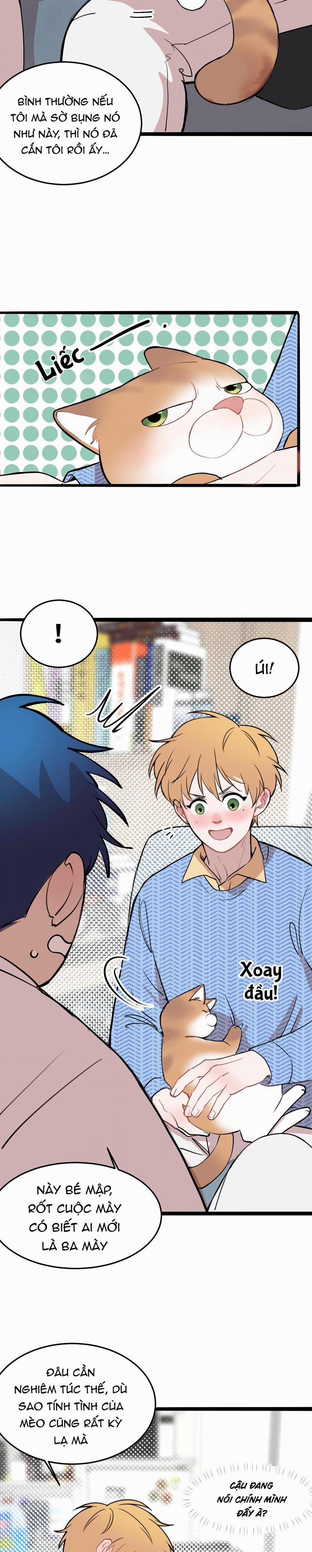Rốt Cuộc Mèo Con Đang Nghĩ Gì Thế? 11 trang 8