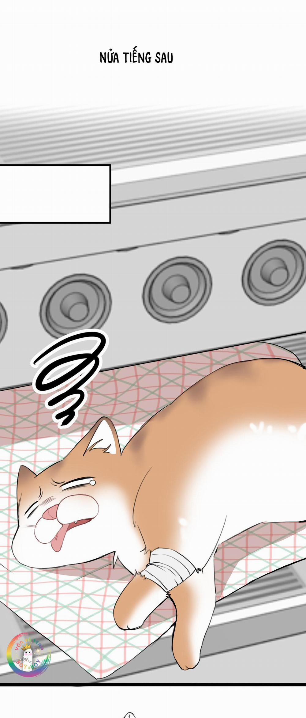 Rốt Cuộc Mèo Con Đang Nghĩ Gì Thế? 14 trang 22