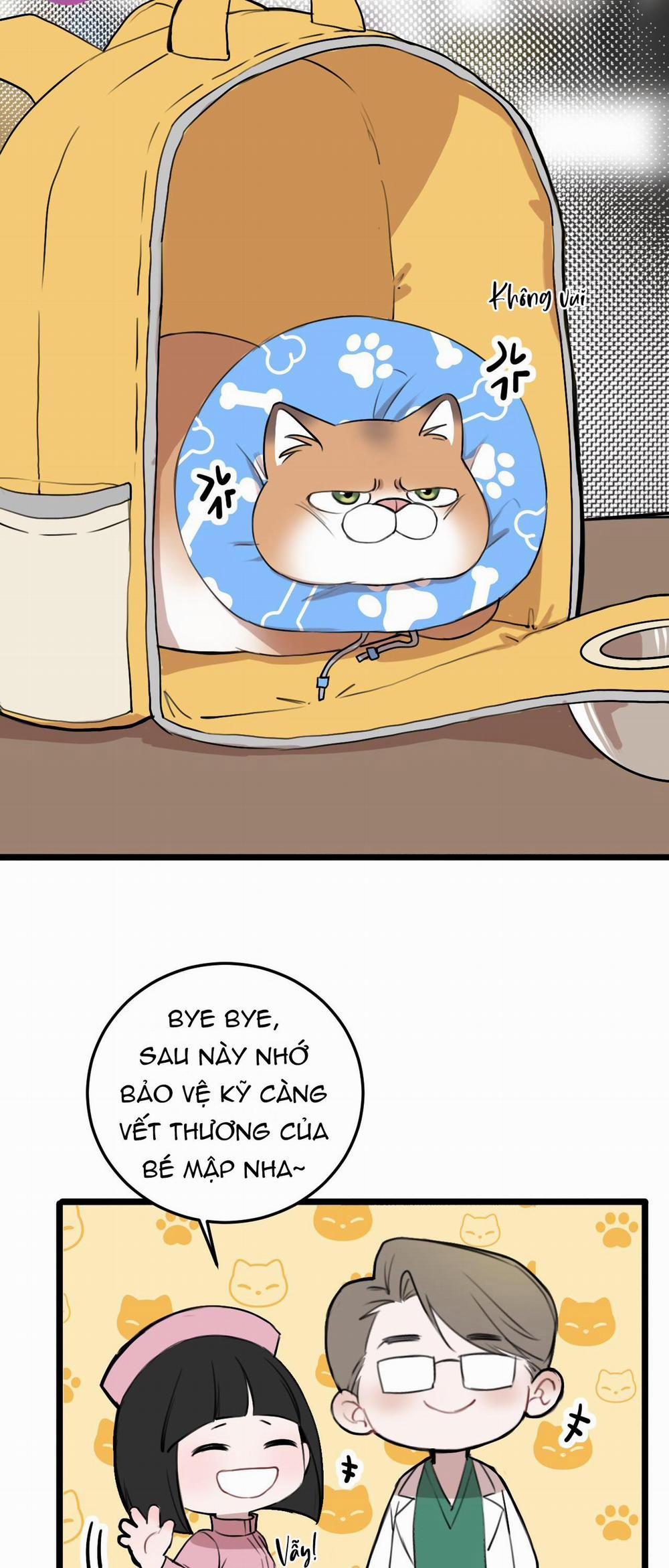 Rốt Cuộc Mèo Con Đang Nghĩ Gì Thế? 14 trang 29