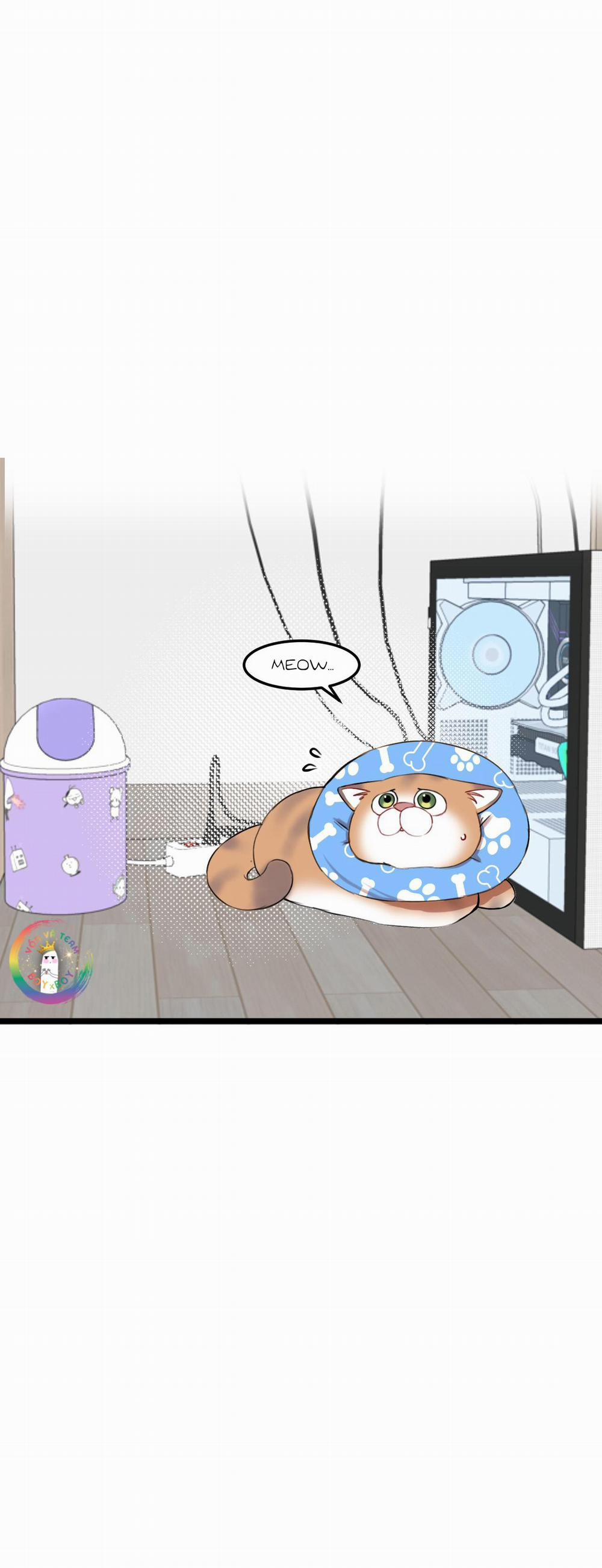 Rốt Cuộc Mèo Con Đang Nghĩ Gì Thế? 15 trang 10