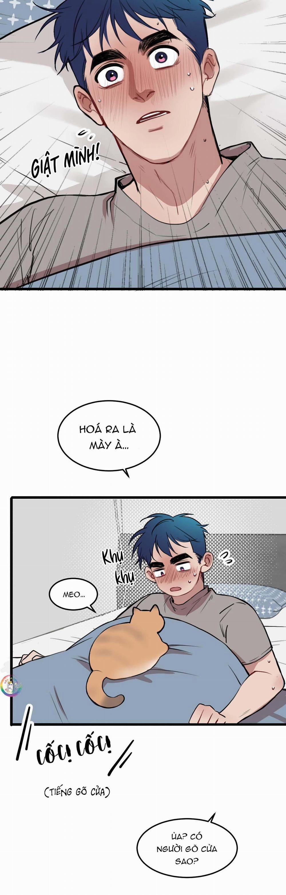 Rốt Cuộc Mèo Con Đang Nghĩ Gì Thế? 17 trang 13
