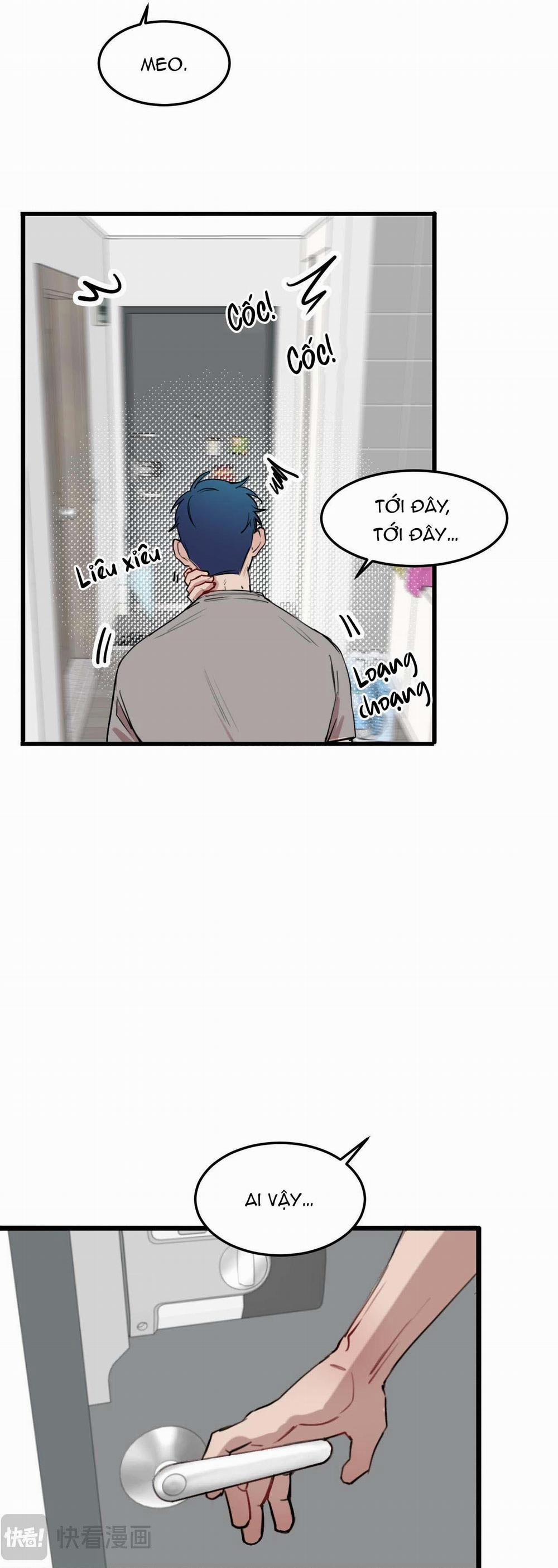 Rốt Cuộc Mèo Con Đang Nghĩ Gì Thế? 17 trang 14