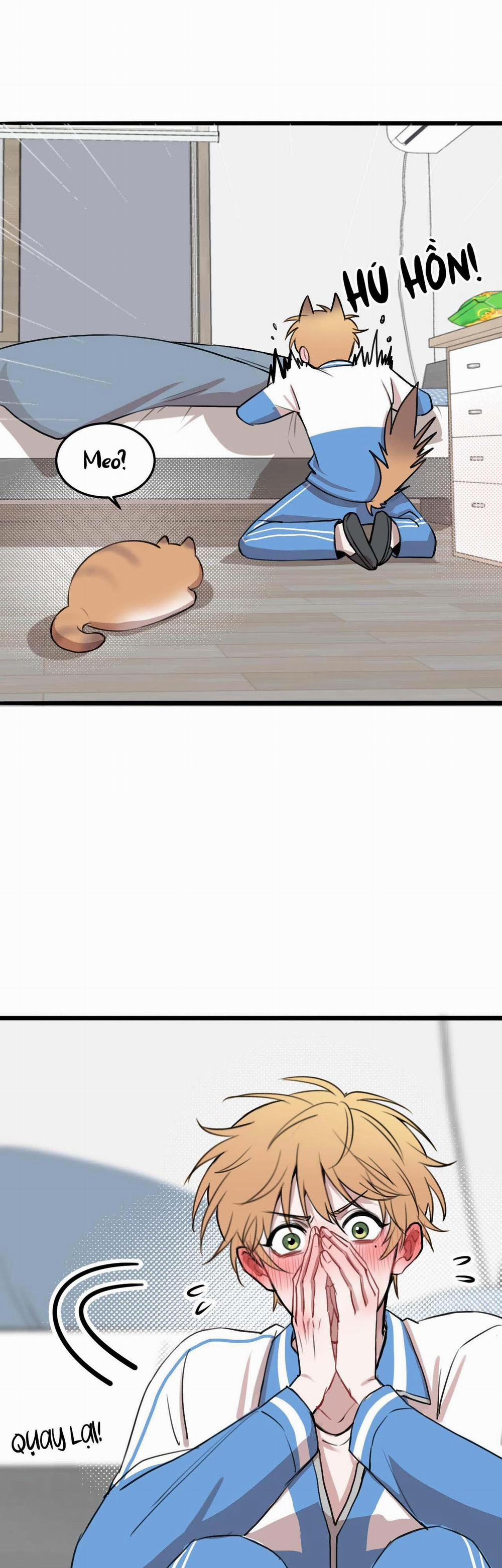 Rốt Cuộc Mèo Con Đang Nghĩ Gì Thế? 17 trang 28