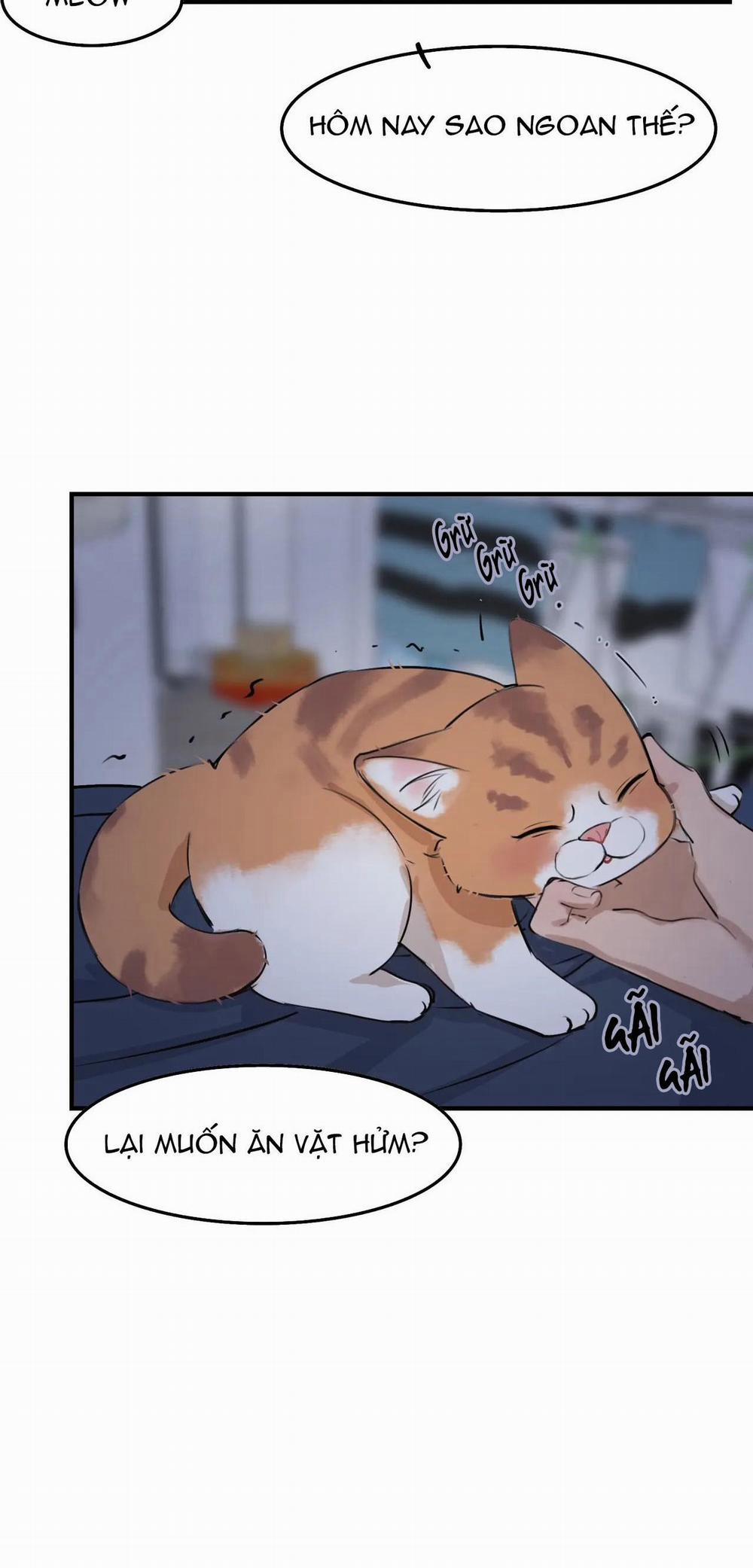 Rốt Cuộc Mèo Con Đang Nghĩ Gì Thế? 4 trang 12