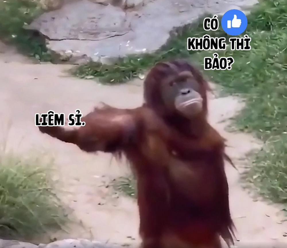 Rowan thuyền trưởng tóc đỏ 4 trang 10