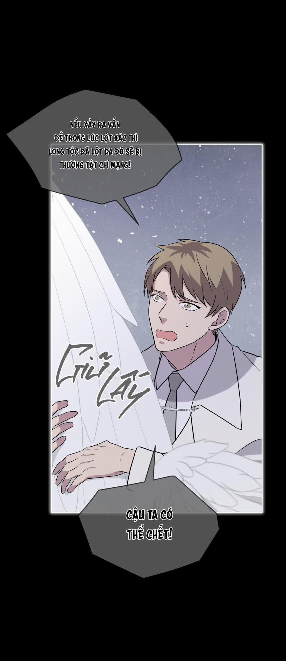 Rừng Biển 42 trang 25