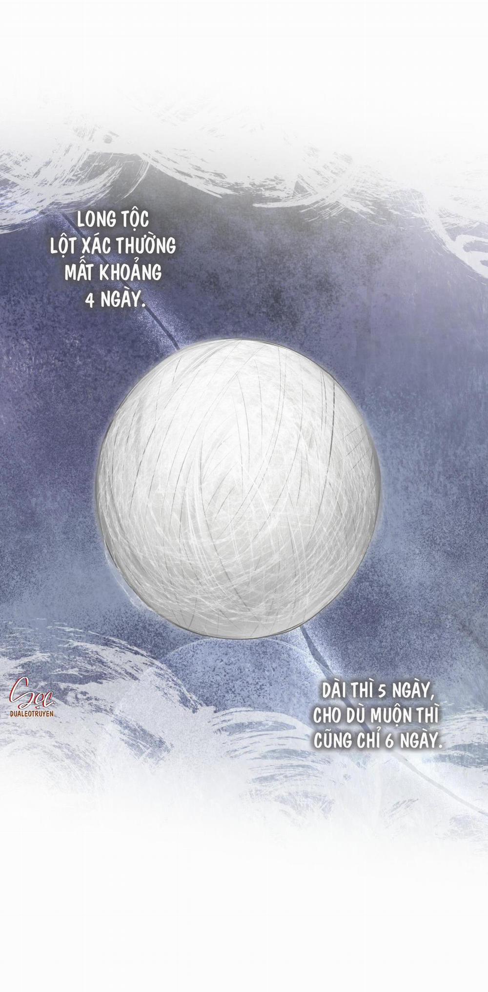 Rừng Biển 42 trang 5